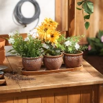Brown Round Ceramic Small Planter (SET OF 3)