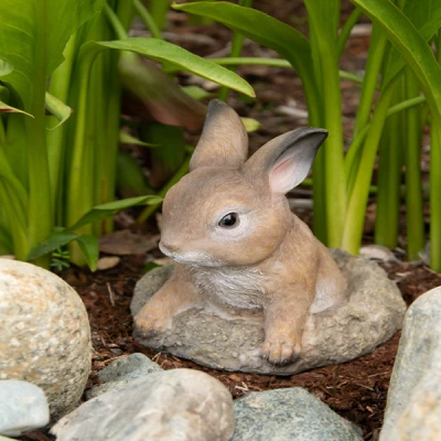 Curious Bunny Figurine